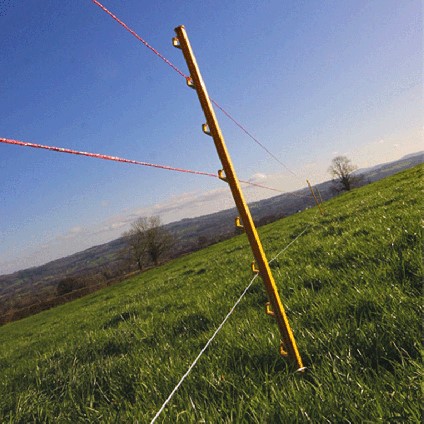 Electric fence reels on reel post